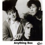Anything Box - Discography.jpg